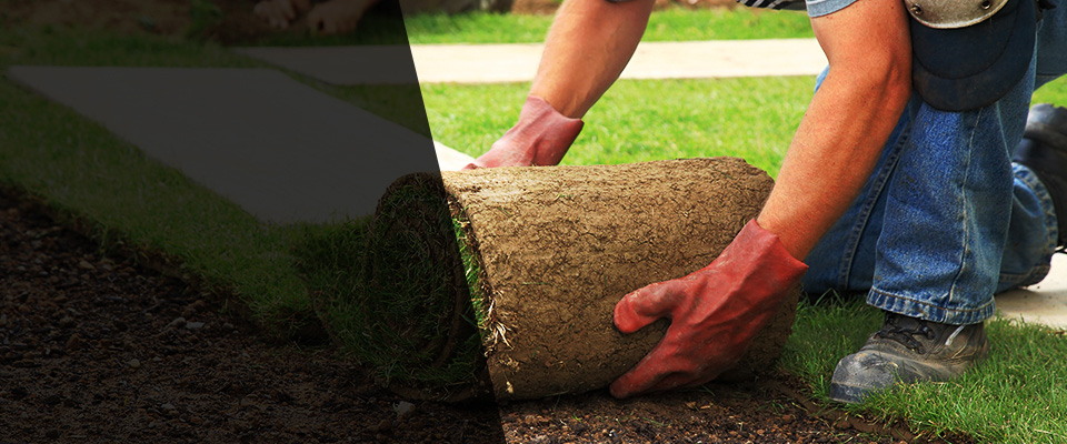 Mastic Beach Landscapers